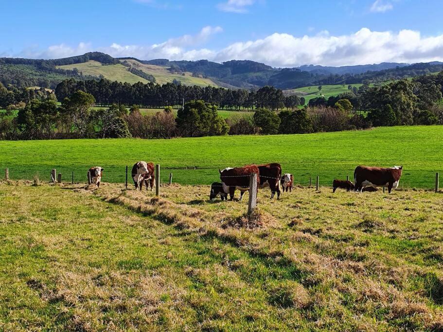 Handsome Hills Dairy Retreat Won Wron 外观 照片